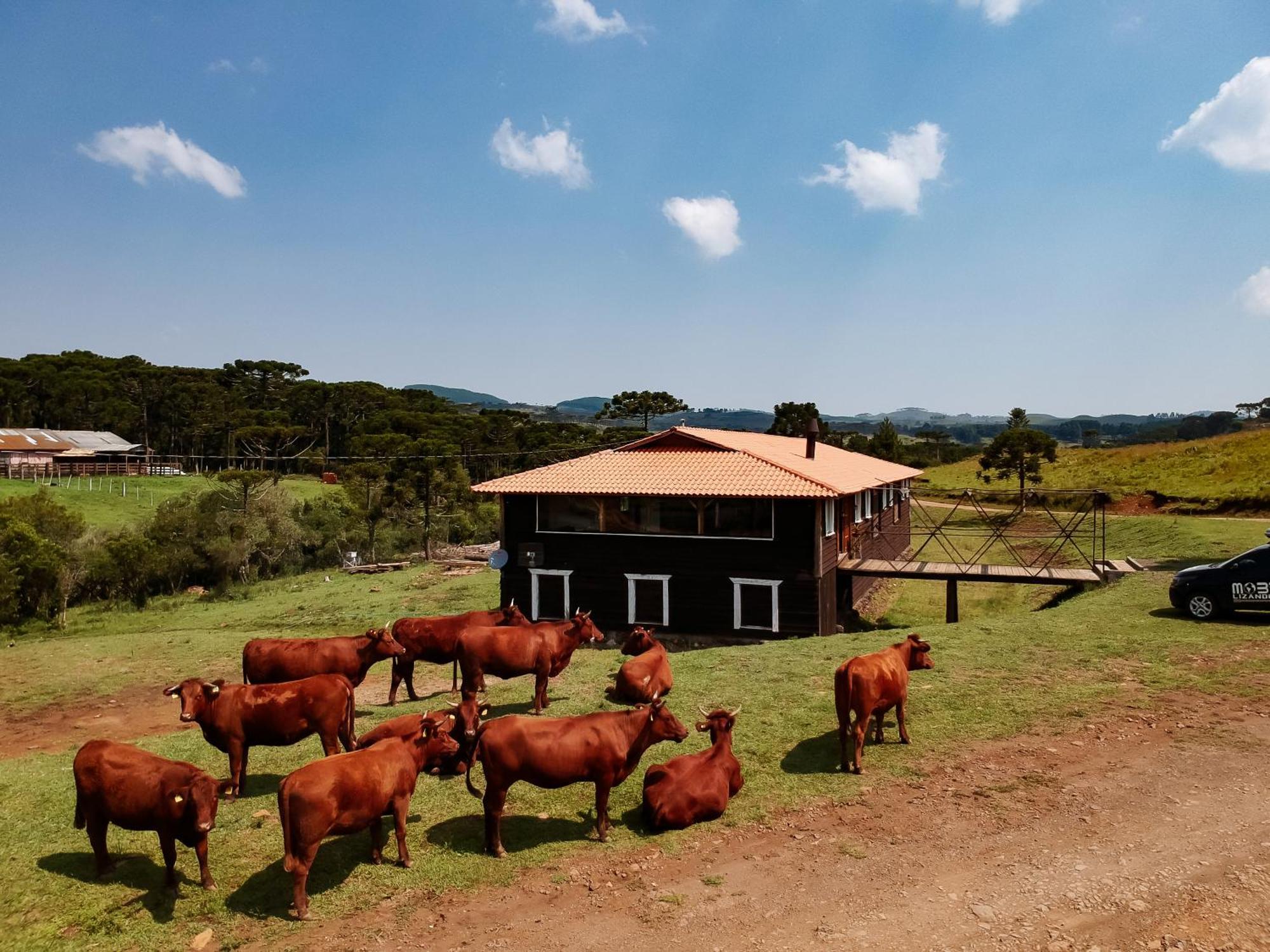 Fazenda Invernada Grande Turismo Rural Бон-Жардин-да-Серра Экстерьер фото
